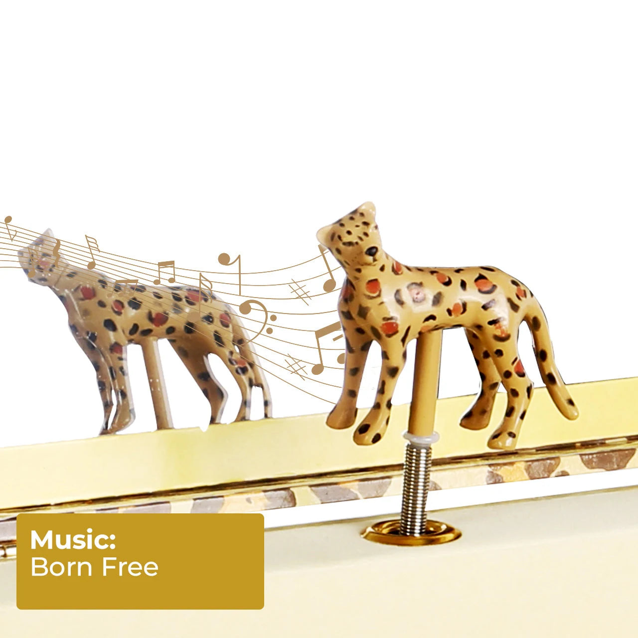 B4008 Leopard Melody Jewelry Box Enchantmints