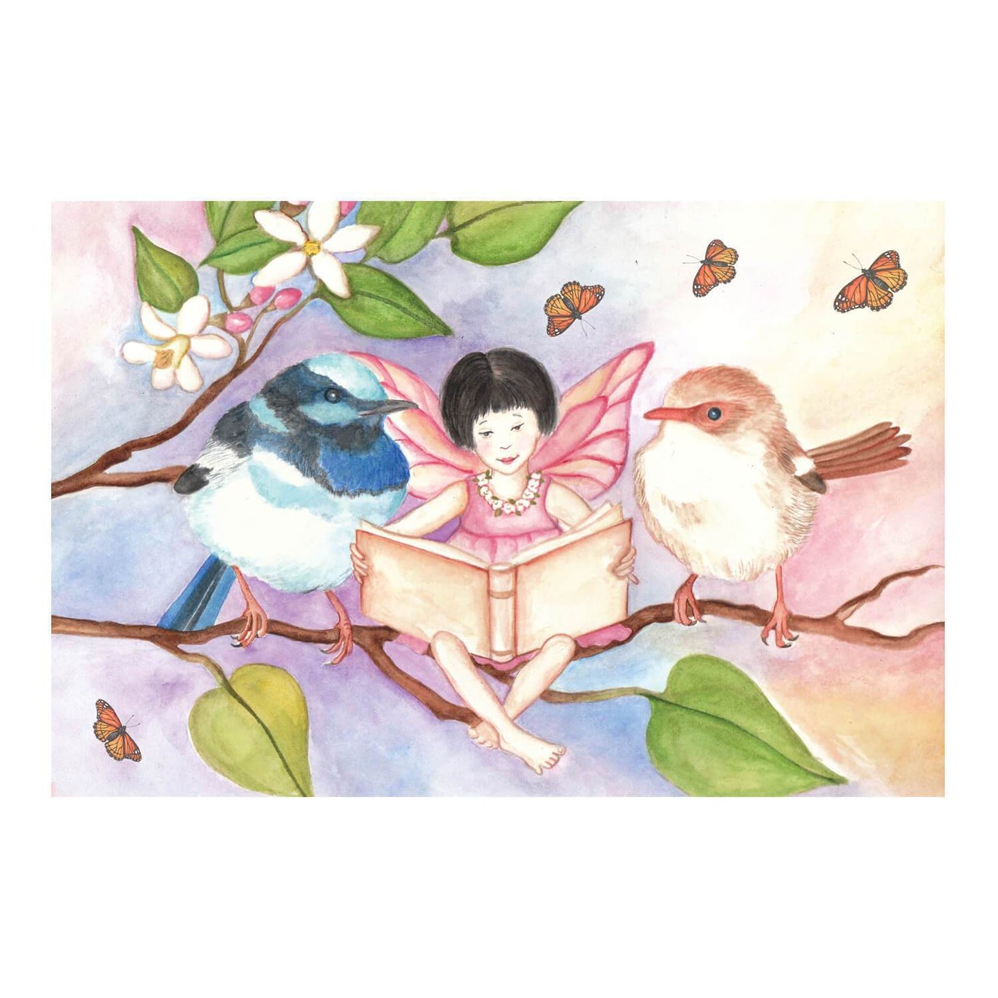 sweet fairy wrens music box top