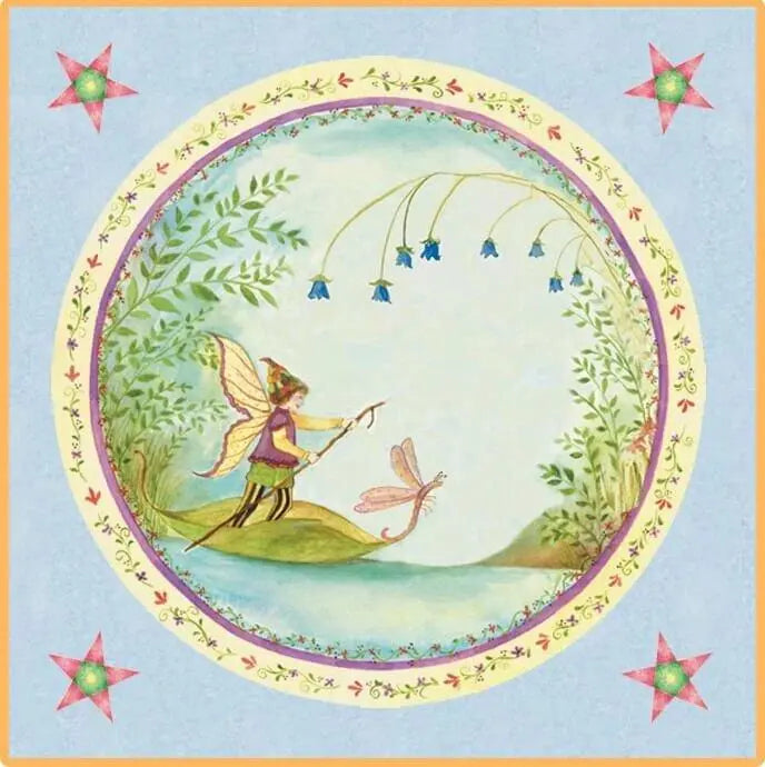 Juniper Tooth Fairy Box top