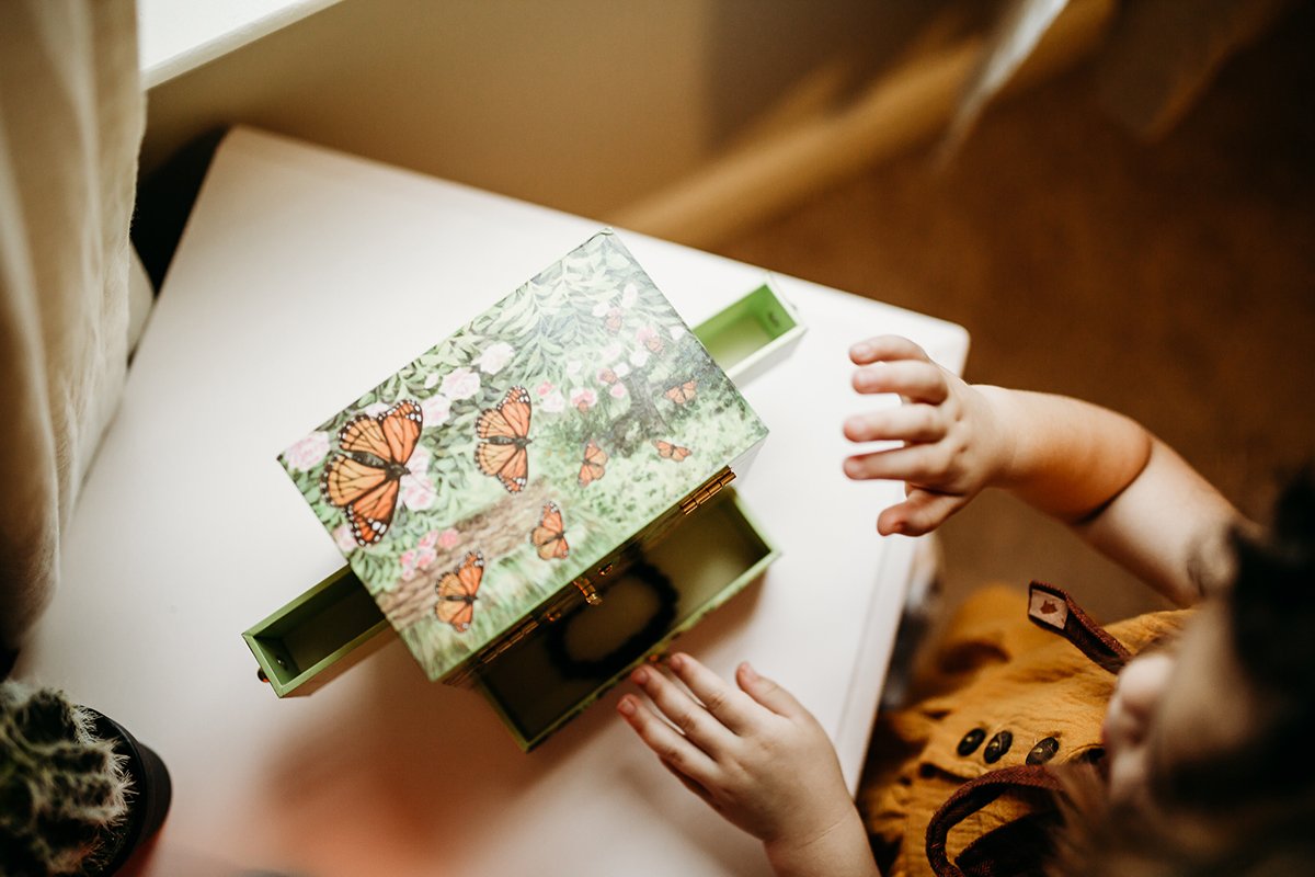 Seasons, Pets & Nature